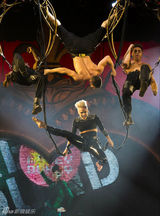 组图：P!nk高空倒吊演唱 与舞伴激情肉搏