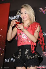 组图：蔡依林红裙亮相活动否认年底见家长