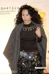 幻灯图集：王菲再现招牌烟熏妆 刘嘉玲黄色唐装雷人