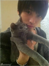 策划：韩星宠物集结号 爱豆们的宠物情人