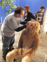 【过度解读】《大闹天宫》甄子丹版猴王诞生记