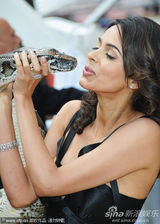 幻灯图集：《欲蛇》见面会 印度女星玛丽卡蟒蛇绕脖