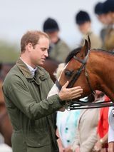 组图：威廉与老鹰互动显淡定 新晋奶爸日渐秃顶