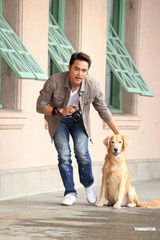 明道与猫狗亲密互动 现实中希望保有隐私权(图)