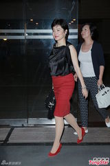 组图：林青霞盛装捧场刘晓庆 杨振宁携娇妻现身