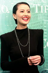 组图：群星助阵发布会 巩俐戴过亿珠宝显女王气质