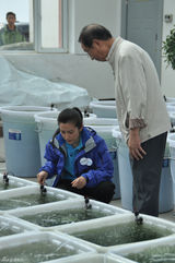 组图：李冰冰热心环保公益 亲历青海湖沙化带治理