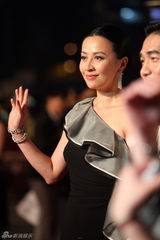 组图：刘嘉玲梁朝伟牵手亲密亮相亚太电影大奖红毯