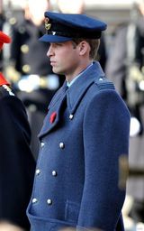 组图：威廉王子夫妇出席阵亡将士纪念日活动