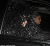 组图：Lady Gaga乌鸦装 蕾丝紧身衣大秀屁股蛋