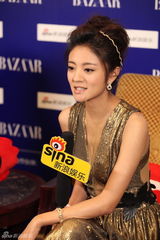 组图：梁家辉倪妮佟大为等明星慈善夜专访