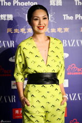 组图：群星亮相BAZAAR明星慈善夜红毯星光熠熠