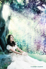 高清组图：陈思思“拥抱春天”壁纸写真出炉