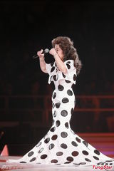 组图：徐小凤红馆演唱会落幕 刘德华陈奂仁助阵