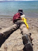 组图：王菲与小伙伴游西藏 晒美景羡煞网友