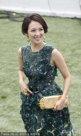 组图：章子怡透视美裙酥胸隐现金饰闪耀