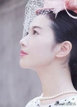 组图：张辛苑靓丽写真一览 成争议人物