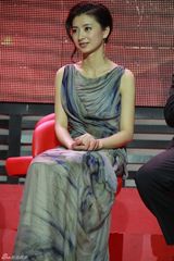 组图：斓曦水墨长裙优雅出席《甄嬛传》开播大典