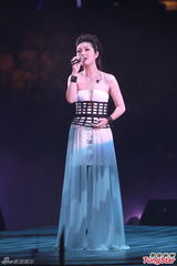 组图：雷颂德个唱献歌儿子 郑秀文助阵掀高潮