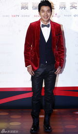 组图：吴奇隆钟汉良等众星助阵乐视盛典红毯
