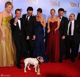 高清图：《艺术家》获得最佳喜剧类电影