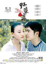 组图：《野草莓》曝三色浪漫海报 11月29日上映