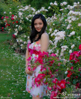 组图：“薛宝钗”张莉容颜不老 30年岁月无痕