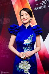 组图：秦海璐中国风造型亮相 获颁风尚跨界艺人奖