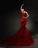 组图：李涵为航天英雄唱颂歌 红色写真曝光