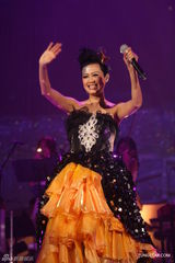 组图：罗敏庄大肚开唱 黄日华王祖蓝现场助阵