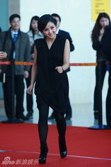 幻灯：第10届百合奖红毯星光熠熠 汤唯成最大亮点