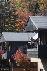 组图：董璇高云翔日本拍杂志封面 红枫林间共赏秋色