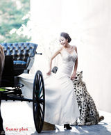 高清图：10月新娘黄慧英拍婚纱写真 花豹陪衬显个性