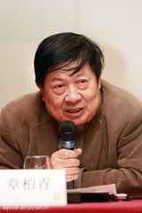 《叶问2》遭盗版日票房损500万 第三集主打李小龙