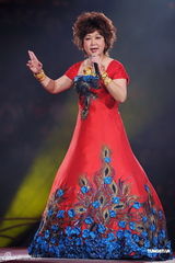 组图：朱咪咪演唱会圆满结束 黎耀祥慨叹开唱不容易