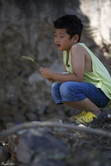 组图：《爸爸去哪儿》第二期精彩提前曝