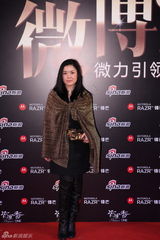 高清图：2011网络盛典红地毯明星名流嘉宾云集