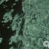 组图：第一届新锐艺术人物评选活动获奖者作品展示