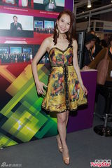 组图：英艺奖蔡少芬视后 钟汉良张卫健获奖