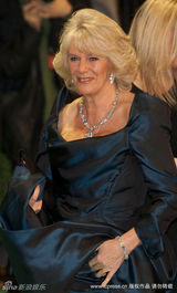 幻灯图：《爱丽丝》英国首映 海瑟薇秀雪白凝肌