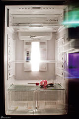 高清图：苏有朋Hebe等名人公益摄影活动作品展示