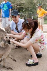 组图：陈赫携妻子畅游澳洲 喂食袋鼠享甜蜜时光