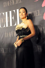 组图：优雅盛典星光熠熠 巩俐刘嘉玲张雨绮斗艳 