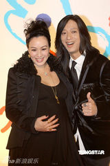 幻灯图集：王菲再现招牌烟熏妆 刘嘉玲黄色唐装雷人