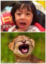 组图：电影《爸爸》曝花絮照 萌宝喂小动物有爱