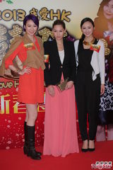 组图：徐子珊亮相《2013我爱HK恭喜发财》团拜