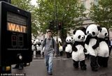 组图：108人扮熊猫伦敦广场表演太极