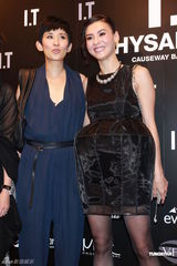 组图：刘嘉玲放言绝未涉毒 张柏芝回避媒体拒采访