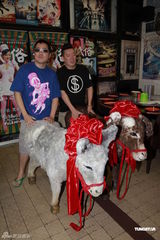 组图：杜汶泽田蕊妮等亮相《低俗喜剧》庆功宴