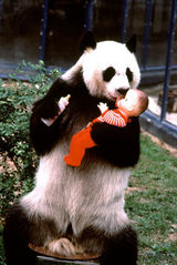 组图：3D音乐电影《超越那一天》老照片素材